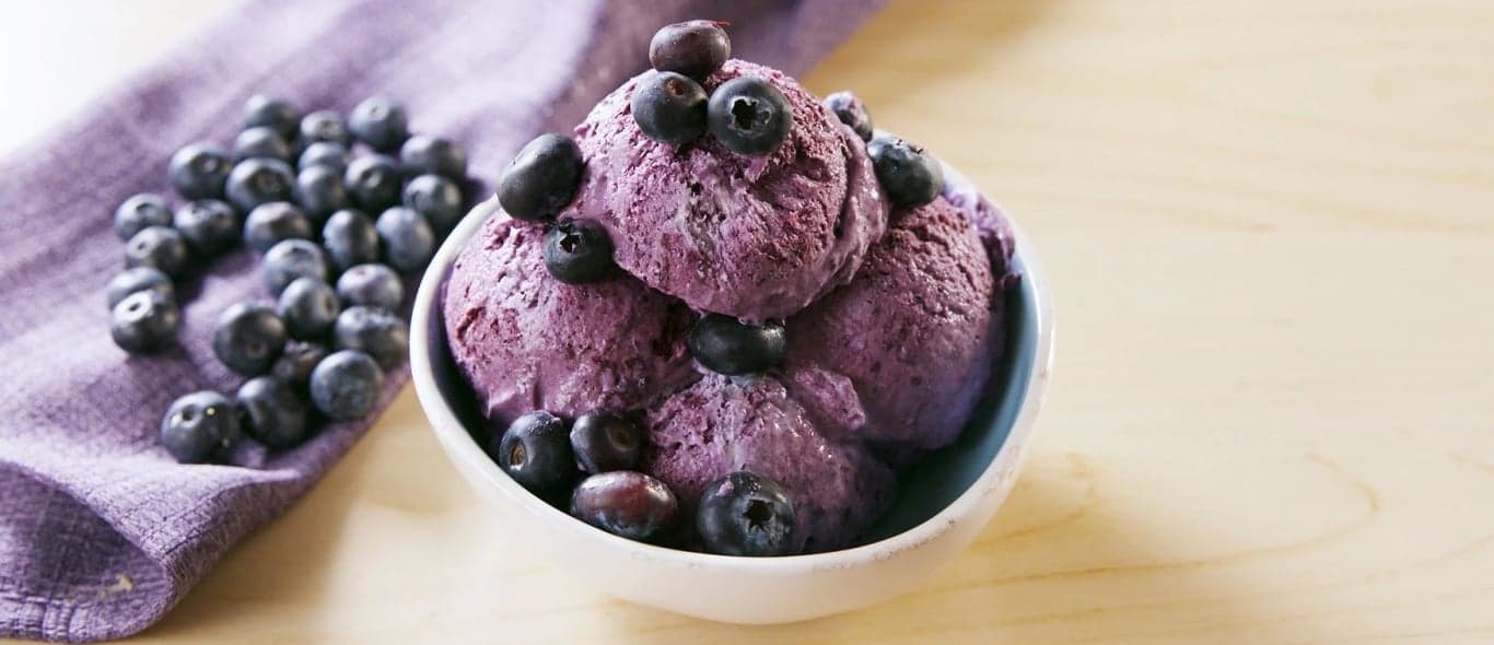Blueberry Icecream